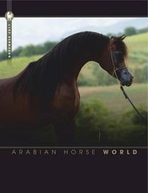 Arabian Horse World — November 2017 - Download